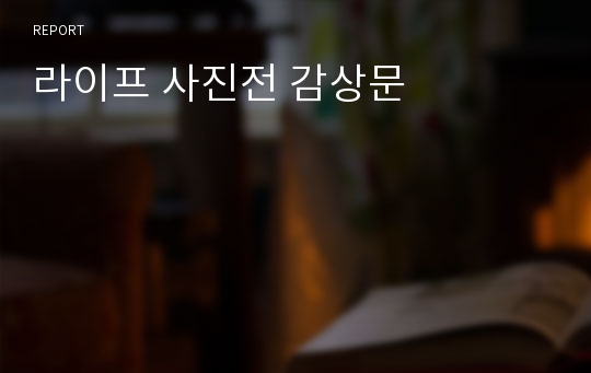 라이프 사진전 감상문