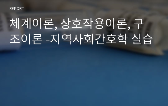 체계이론, 상호작용이론, 구조이론 -지역사회간호학 실습