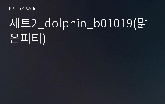 세트2_dolphin_b01019(맑은피티)