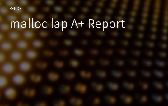 malloc lap A+ Report