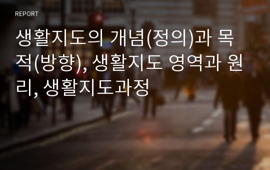 생활지도의 개념(정의)과 목적(방향), 생활지도 영역과 원리, 생활지도과정