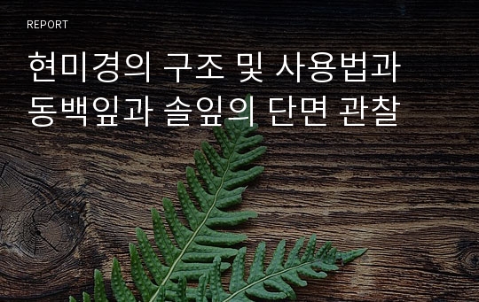 현미경의 구조 및 사용법과 동백잎과 솔잎의 단면 관찰