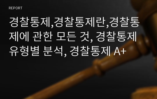 경찰통제,경찰통제란,경찰통제에 관한 모든 것, 경찰통제 유형별 분석, 경찰통제 A+