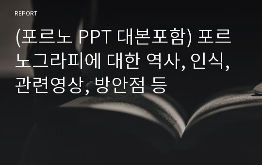 (포르노 PPT 대본포함) 포르노그라피에 대한 역사, 인식, 관련영상, 방안점 등