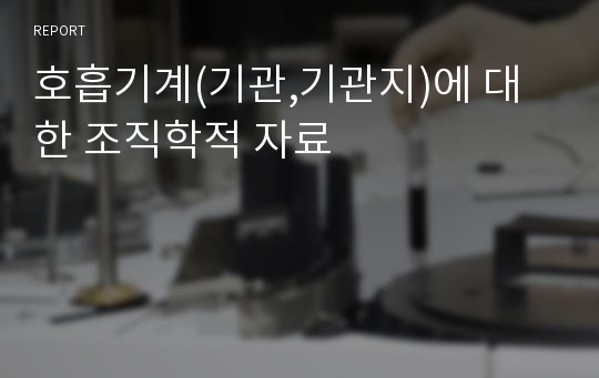 호흡기계(기관,기관지)에 대한 조직학적 자료