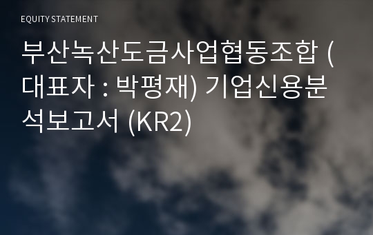 부산녹산표면처리사업협동조합 기업신용분석보고서 (KR2)