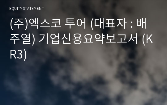 (주)엑스코 투어 기업신용요약보고서 (KR3)