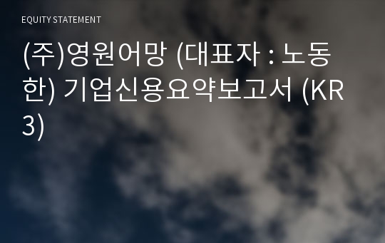 (주)영원어망 기업신용요약보고서 (KR3)