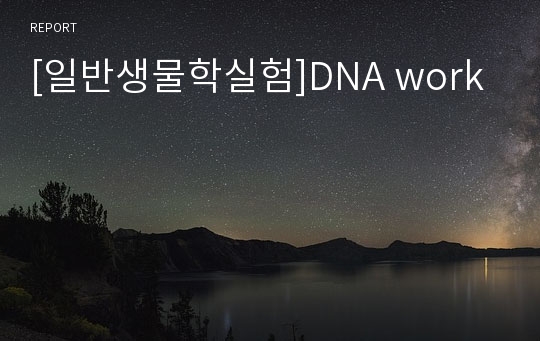 [일반생물학실험]DNA work