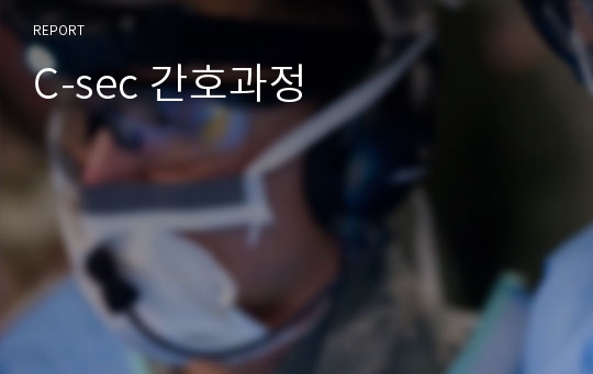 C-sec 간호과정