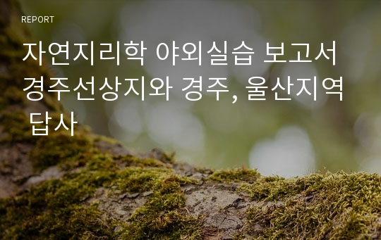 자연지리학 야외실습 보고서 경주선상지와 경주, 울산지역 답사