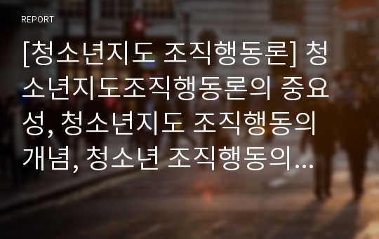 [청소년지도 조직행동론] 청소년지도조직행동론의 중요성, 청소년지도 조직행동의 개념, 청소년 조직행동의 영역과 구성요소