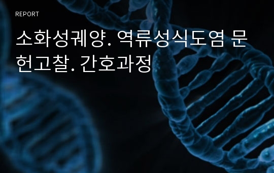 소화성궤양. 역류성식도염 문헌고찰. 간호과정