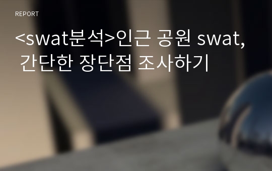 &lt;swat분석&gt;인근 공원 swat, 간단한 장단점 조사하기