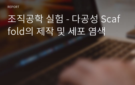 조직공학 실험 - 다공성 Scaffold의 제작 및 세포 염색