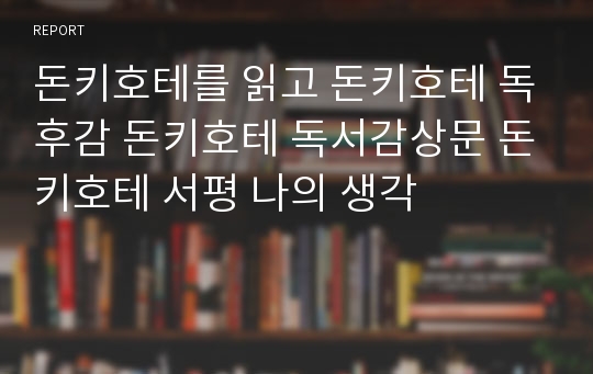 돈키호테를 읽고 돈키호테 독후감 돈키호테 독서감상문 돈키호테 서평 나의 생각