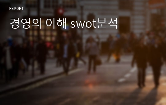 경영의 이해 swot분석 