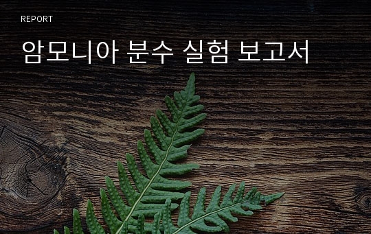 암모니아 분수 실험 보고서