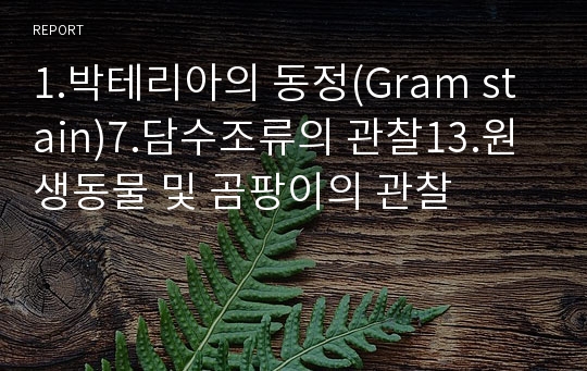 1.박테리아의 동정(Gram stain)7.담수조류의 관찰13.원생동물 및 곰팡이의 관찰