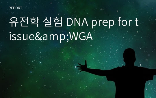 유전학 실험 DNA prep for tissue&amp;WGA
