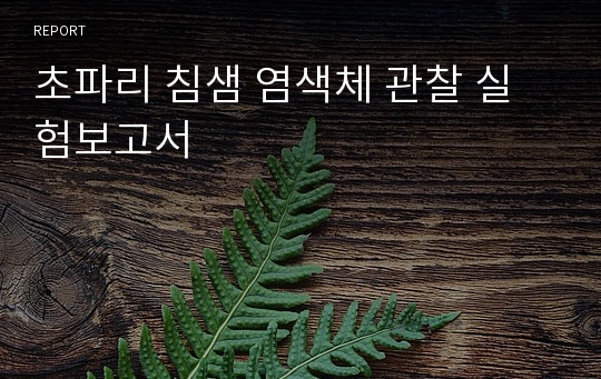 초파리 침샘 염색체 관찰 실험보고서