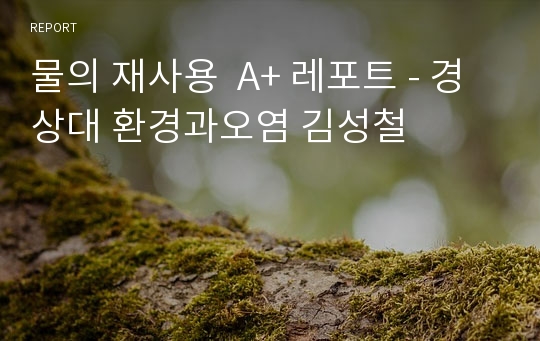 물의 재사용  A+ 레포트 - 경상대 환경과오염 김성철