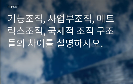 기능조직, 사업부조직, 매트릭스조직, 국제적 조직 구조들의 차이를 설명하시오.