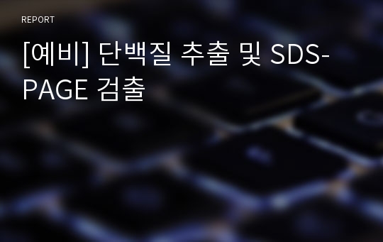 [예비] 단백질 추출 및 SDS-PAGE 검출