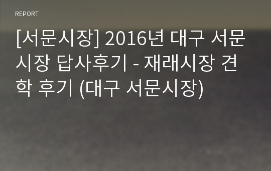 [서문시장] 2016년 대구 서문시장 답사후기 - 재래시장 견학 후기 (대구 서문시장)