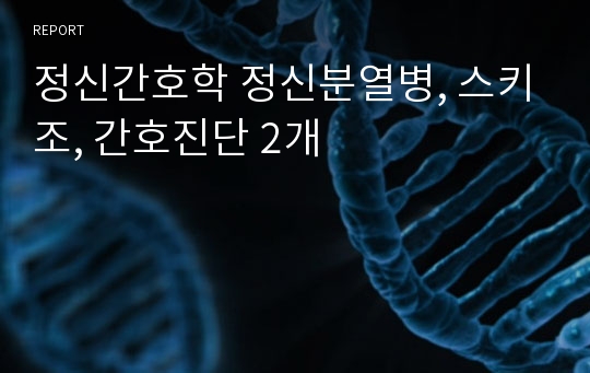 정신간호학 정신분열병, 스키조, 간호진단 2개