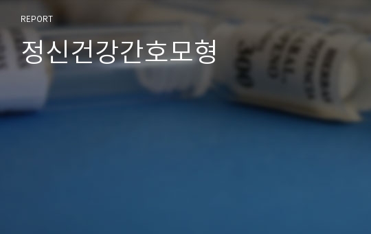 정신건강간호모형