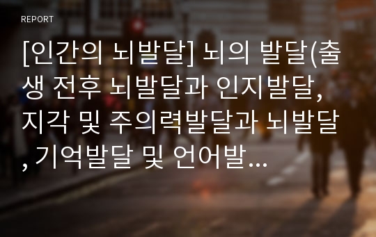 [인간의 뇌발달] 뇌의 발달(출생 전후 뇌발달과 인지발달, 지각 및 주의력발달과 뇌발달, 기억발달 및 언어발달과 뇌발달)