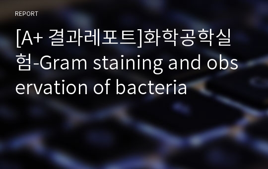 [A+ 결과레포트]화학공학실험-Gram staining and observation of bacteria