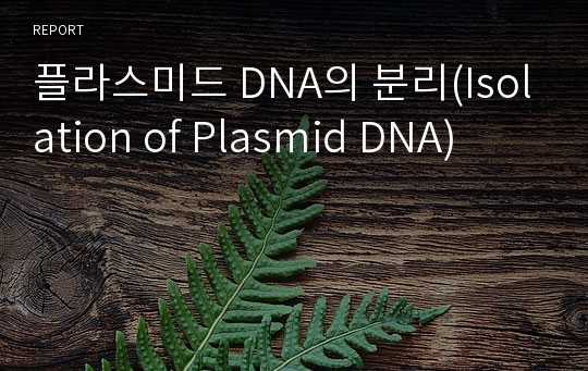 플라스미드 DNA의 분리(Isolation of Plasmid DNA)