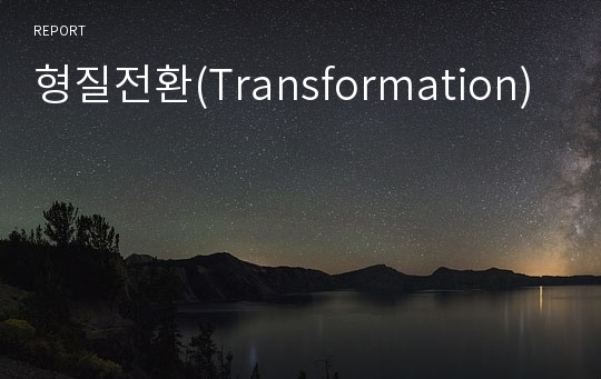 형질전환(Transformation)