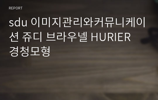 sdu 이미지관리와커뮤니케이션 쥬디 브라우넬 HURIER 경청모형