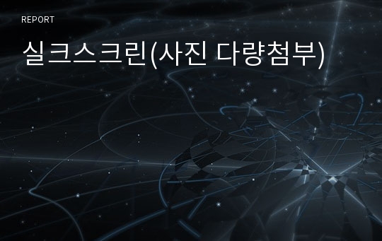 실크스크린(사진 다량첨부)