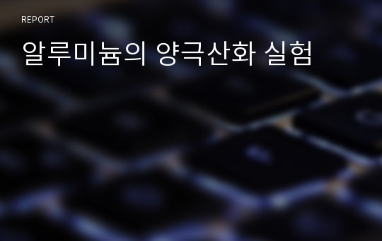 알루미늄의 양극산화 실험