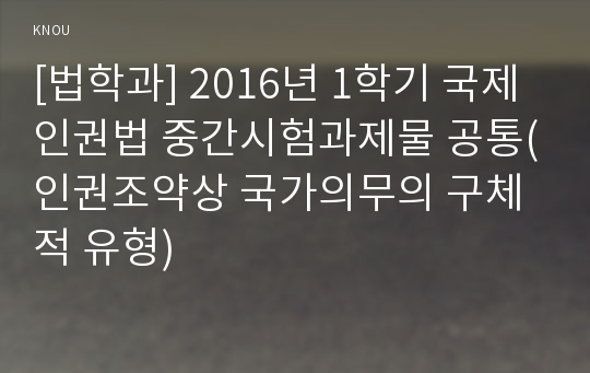 [법학과] 2016년 1학기 국제인권법 중간시험과제물 공통(인권조약상 국가의무의 구체적 유형)