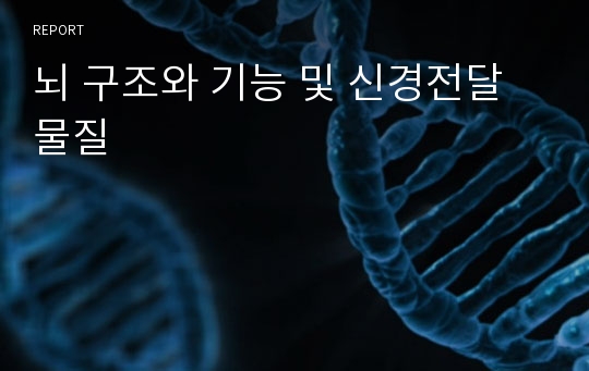 뇌 구조와 기능 및 신경전달 물질