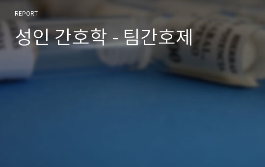 성인 간호학 - 팀간호제