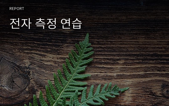 전자 측정 연습