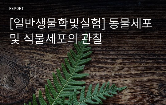 [일반생물학및실험] 동물세포및 식물세포의 관찰