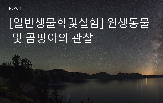 [일반생물학및실험] 원생동물 및 곰팡이의 관찰