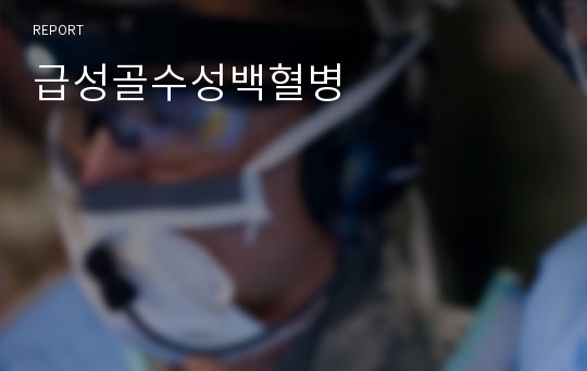 급성골수성백혈병