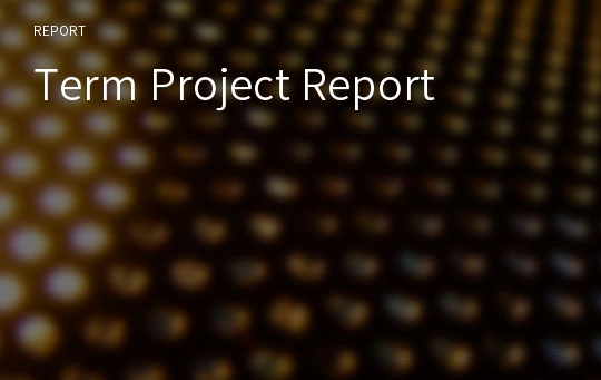 Term Project Report