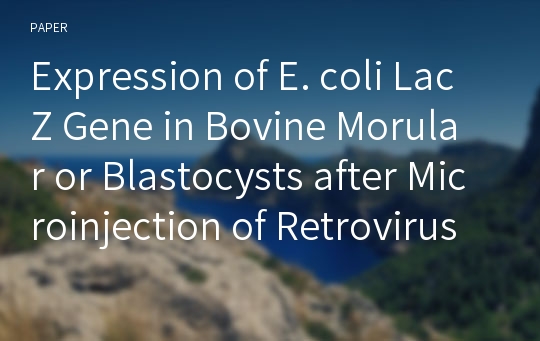 Expression of E. coli LacZ Gene in Bovine Morular or Blastocysts after Microinjection of Retrovirus Vector-Producing Cells into the Perivitelline Space of One-to Four-Cell Embryos