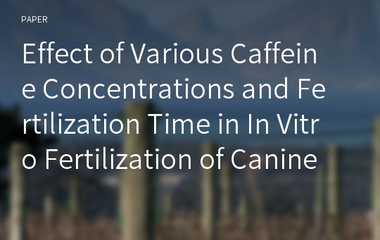 Effect of Various Caffeine Concentrations and Fertilization Time in In Vitro Fertilization of Canine Oocytes