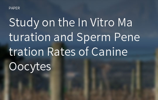 Study on the In Vitro Maturation and Sperm Penetration Rates of Canine Oocytes