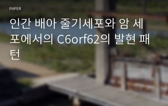 인간 배아 줄기세포와 암 세포에서의 C6orf62의 발현 패턴